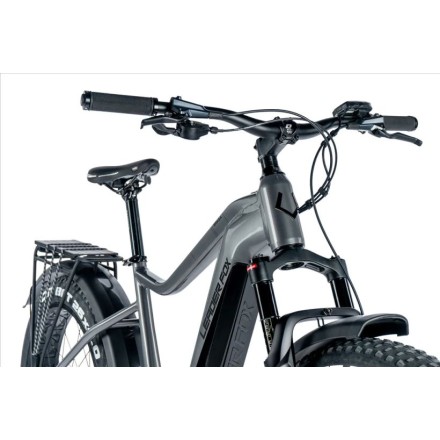 Leaderfox BRASA FAT BIKE,20"-2, GREY SHINY 2024