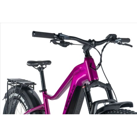 Leaderfox BRASA FAT BIKE,18"-3, VIOLET SHINY 2024